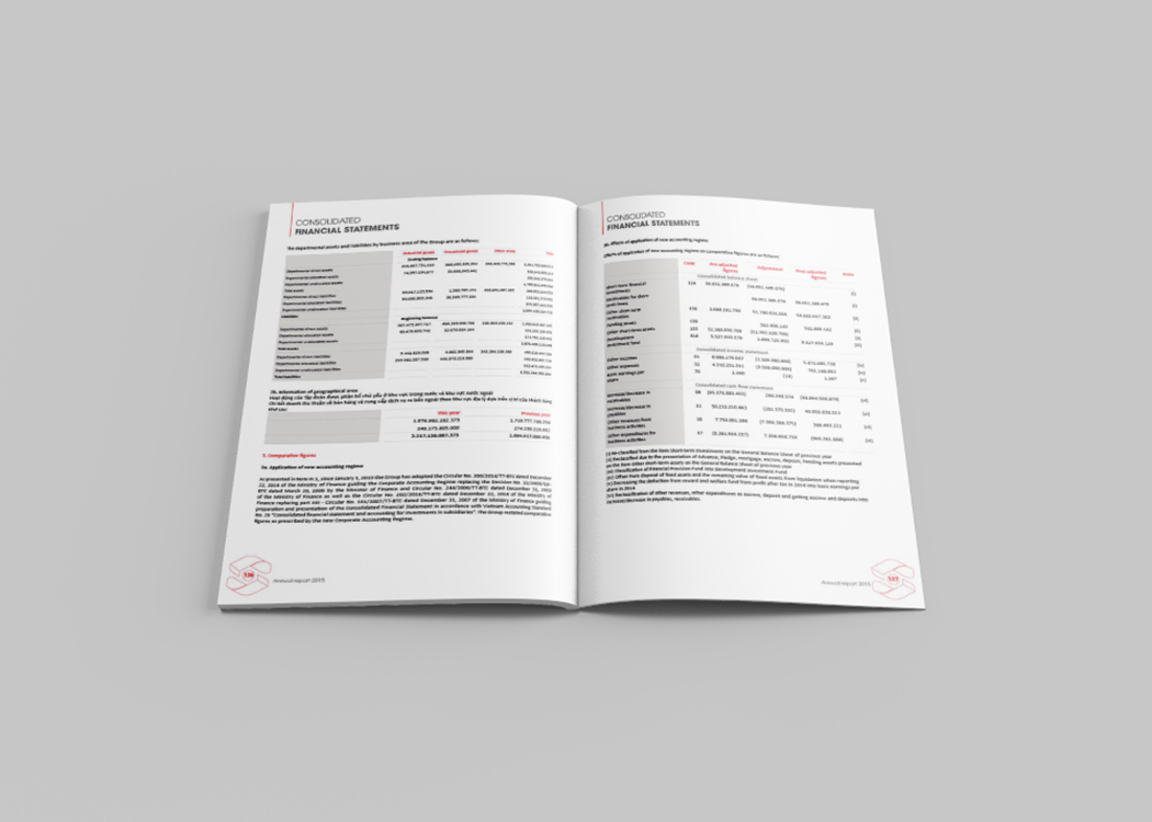 SƠN HÀ - Thiết kế báo cáo thường niên cho Công ty Sơn Hà